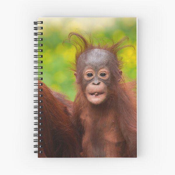 Item preview, Quirky Charm of an Orangutan Baby designed and sold by rawshutterbug.