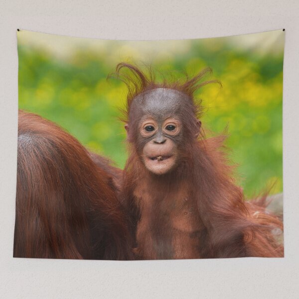 Item preview, Quirky Charm of an Orangutan Baby designed and sold by rawshutterbug.