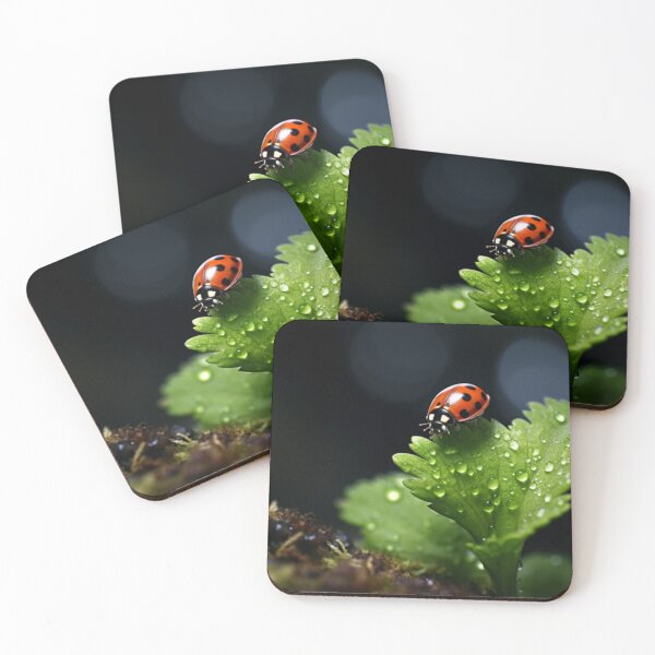 Item preview, cute beautiful ladybug enjoy with fresh green leaf designed and sold by Superann8.