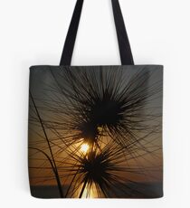 Tumbleweed, Cable Beach, Broome, Western Australia Tote Bag