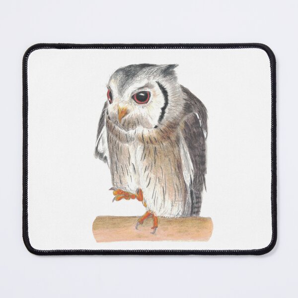 Item preview, Northern White-faced Owl designed and sold by morizukan.