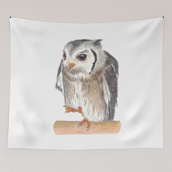 Item preview, Northern White-faced Owl designed and sold by morizukan.