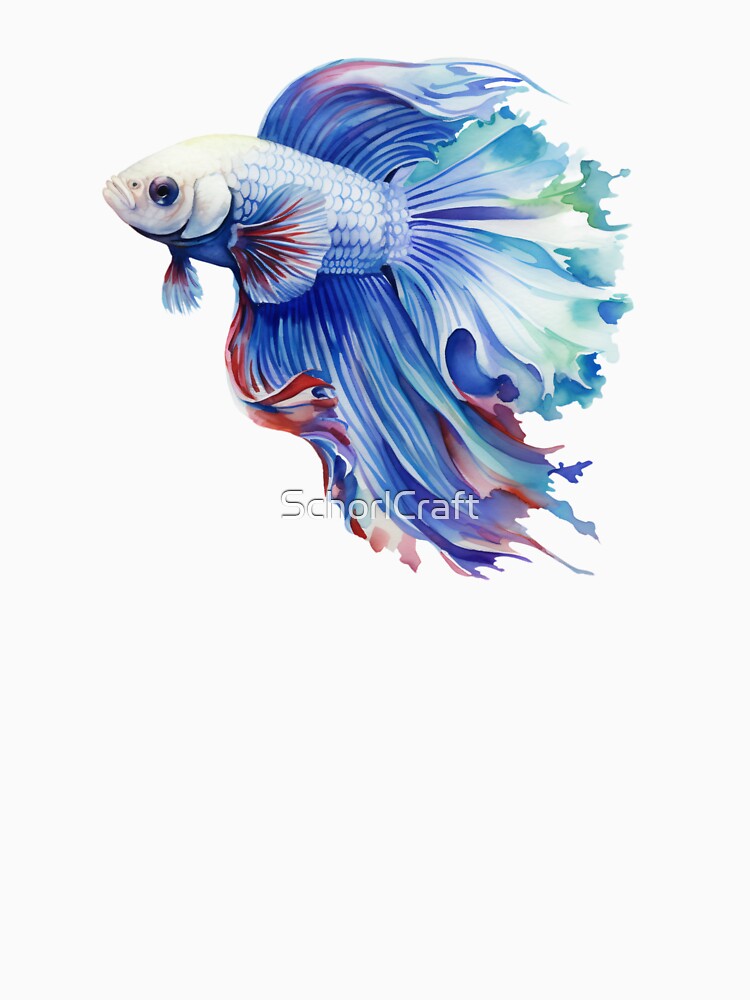 Betta Splendens Fighting Fish With a Different Types of