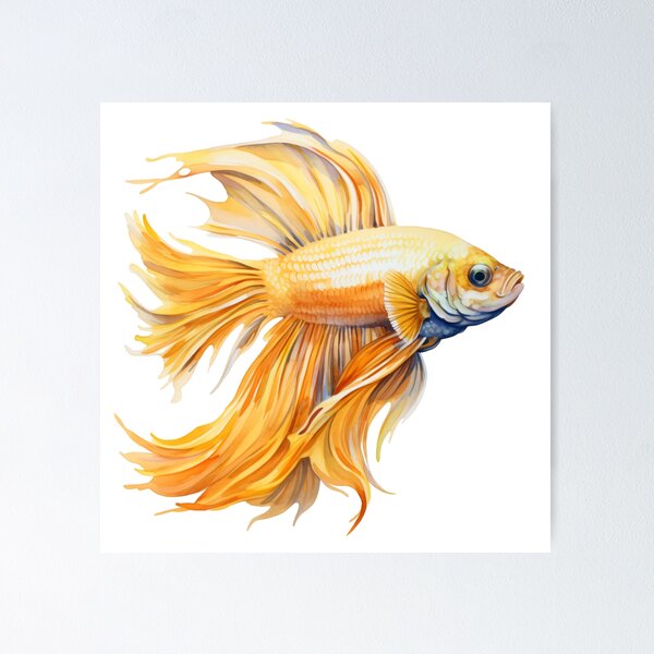 Artikelvorschau, Betta Splendens Aquarellfisch entworfen und verkauft von SchorlCraft.