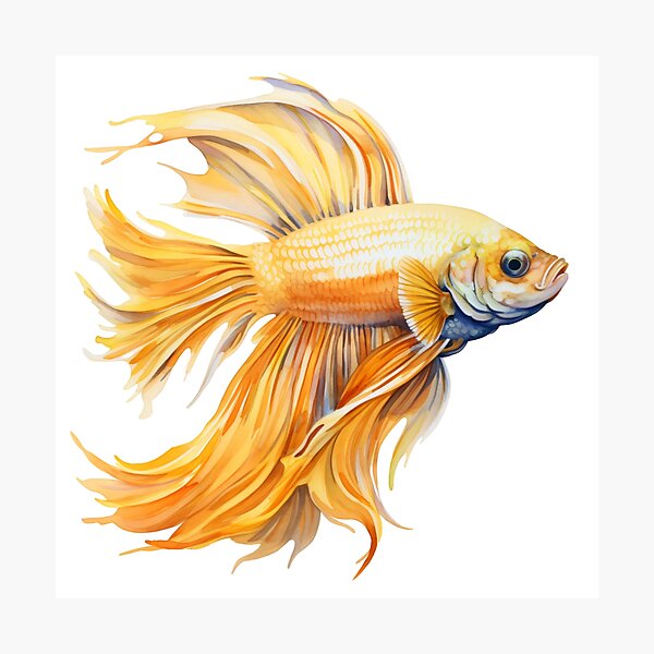 Item preview, Betta Splendens Watercolor Fish designed and sold by SchorlCraft.