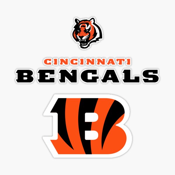 NFL Cincinnati Bengals Large Pet Premium Jersey