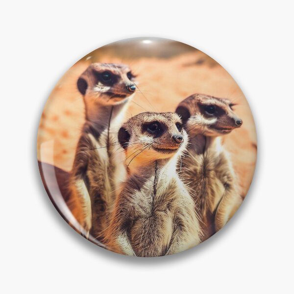 Item preview, Meerkat Photography designed and sold by The Digital Compass.