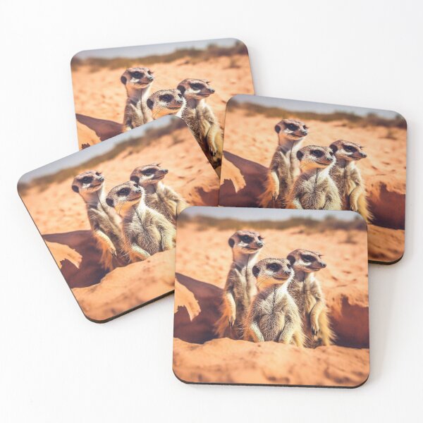 Item preview, Meerkat Photography designed and sold by The Digital Compass.