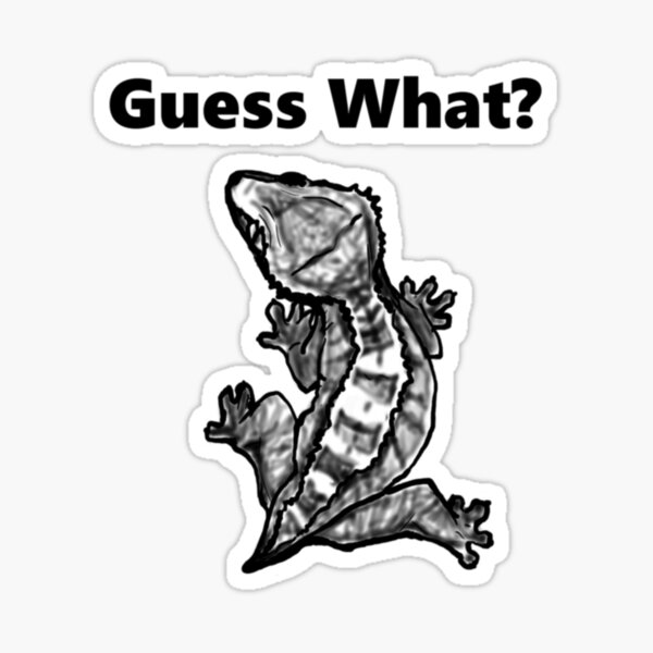 Item preview, Crested Gecko Guess What Frog Butt   designed and sold by SaltyCulthf.