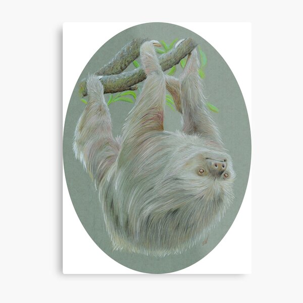 Item preview, Sloth Coloured Pencil Drawing designed and sold by SandraWarmerdam.