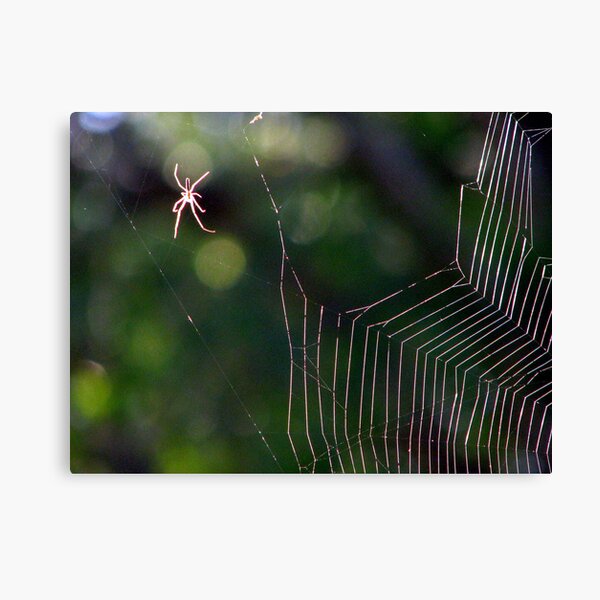Steppin' Out. Canvas Print