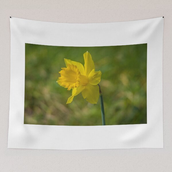 Item preview, Daffodil designed and sold by Jinxyboy1908.