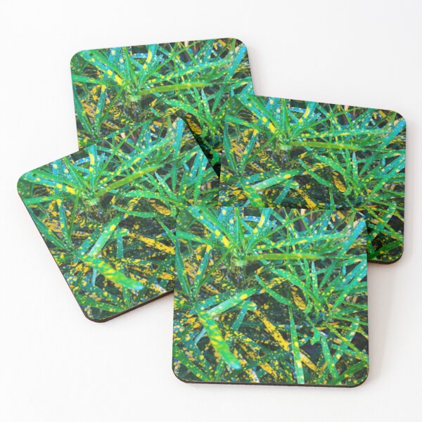 Item preview, yellow and green leaves croton plants designed and sold by Royalsticker.