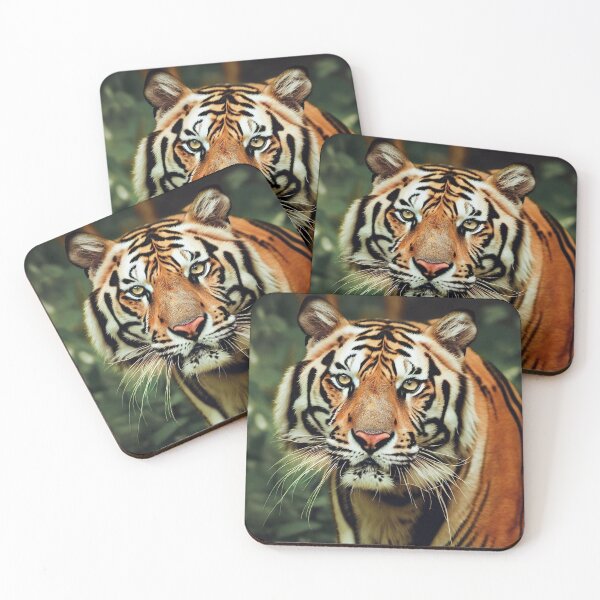 Item preview, Tiger Photography 2 designed and sold by The Digital Compass.