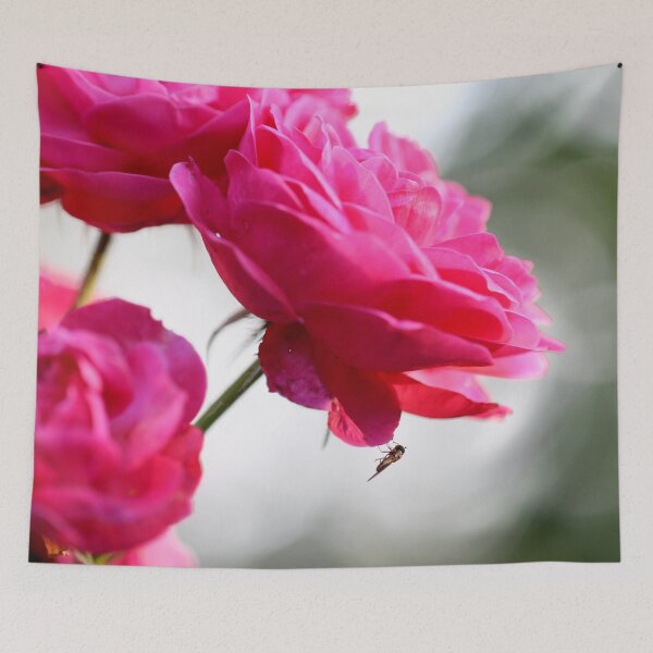 Tapestry