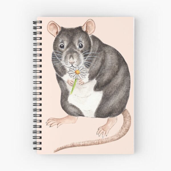 Aperçu de l'œuvre Rat Berkshire avec marguerite créée et vendue par WolfySilver.