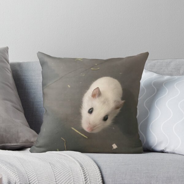 Item preview, Salt & Pepper - Rest In Peace - 8/27/23 :( designed and sold by EH-Photo.