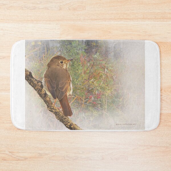 Item preview, deep forest hermit thrush designed and sold by R Christopher Vest.