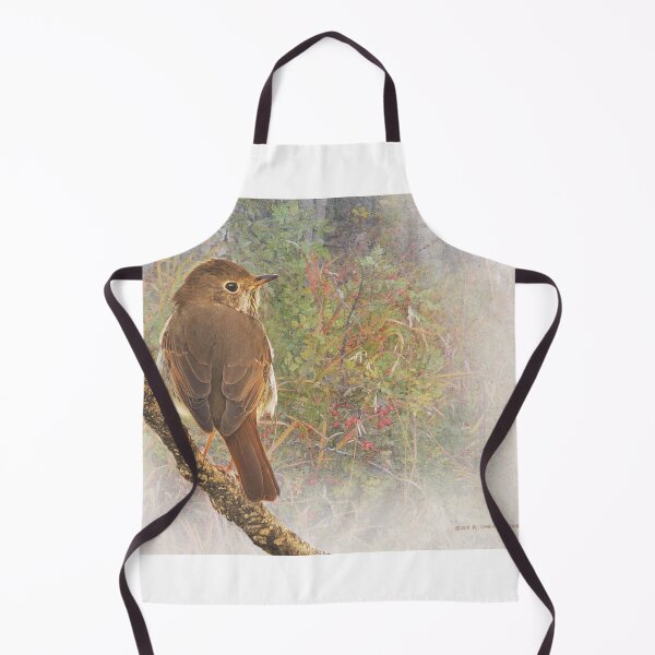 Item preview, deep forest hermit thrush designed and sold by R Christopher Vest.