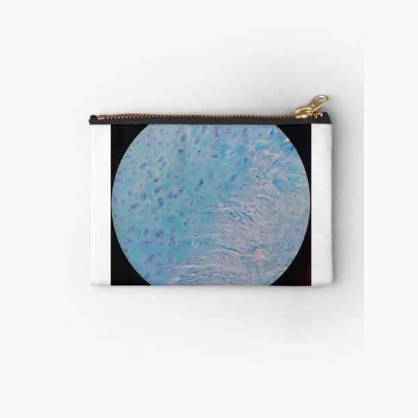 Item preview, Cartilage, 200x, Ziehl Neelsen stain designed and sold by Psymier.