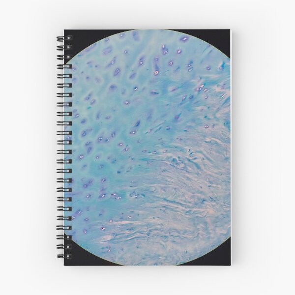 Item preview, Cartilage, 200x, Ziehl Neelsen stain designed and sold by Psymier.