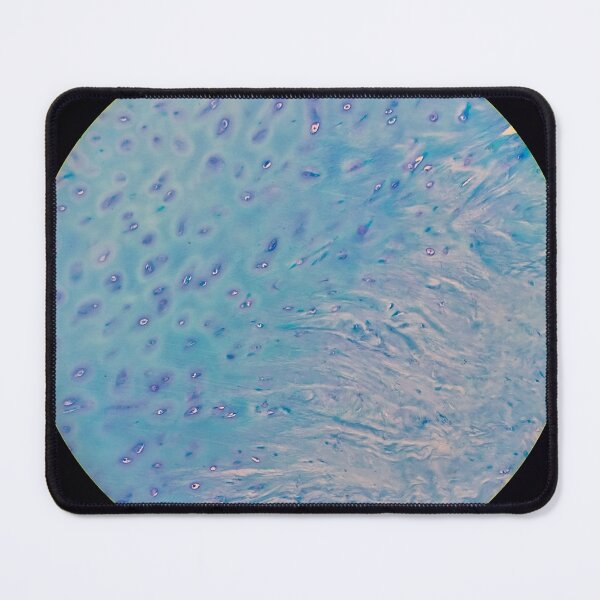 Item preview, Cartilage, 200x, Ziehl Neelsen stain designed and sold by Psymier.