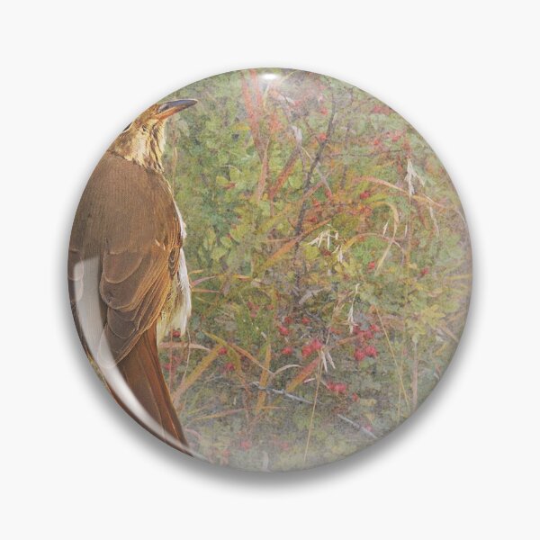 Item preview, deep forest hermit thrush  designed and sold by R Christopher  Vest.