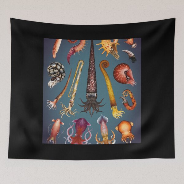 Item preview, Cephalopods Plate 	 designed and sold by uqchhkevj34.