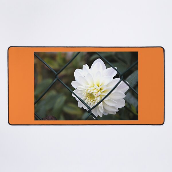 Item preview, Shy Snow White designed and sold by voelzis.