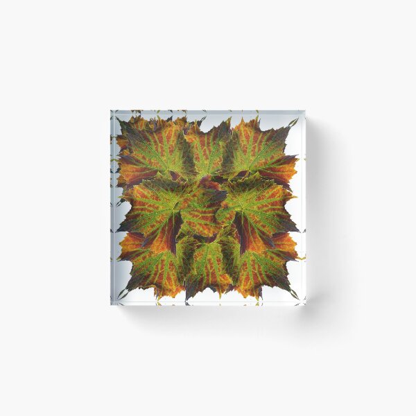 Item preview, Vine leaves pattern (late August 2023) designed and sold by Robin3DT.