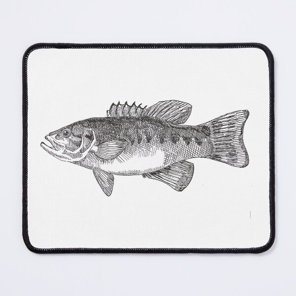 Item preview, Widemouth Bass Illustration designed and sold by Olivia Braunsteiner.