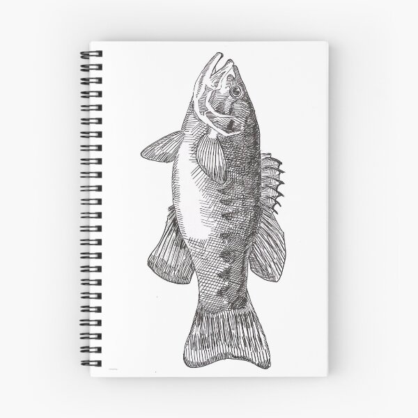 Item preview, Widemouth Bass Illustration designed and sold by Olivia Braunsteiner.