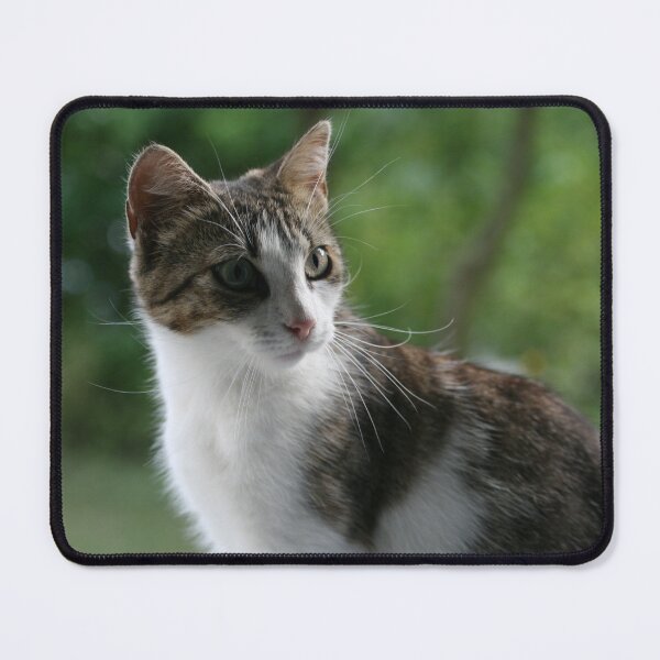 Item preview, Cat Portrait designed and sold by AtrixArt.