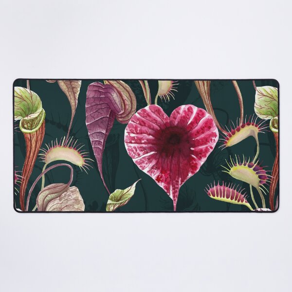 Item preview, Carnivorous plants floral watercolor print. Pelican flower, Venus Flytrap. Exotic flowers botanical illustration. designed and sold by likapix.