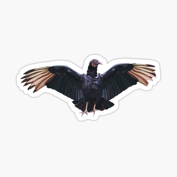 Item preview, A is for American Black Vulture designed and sold by thezoogirl.