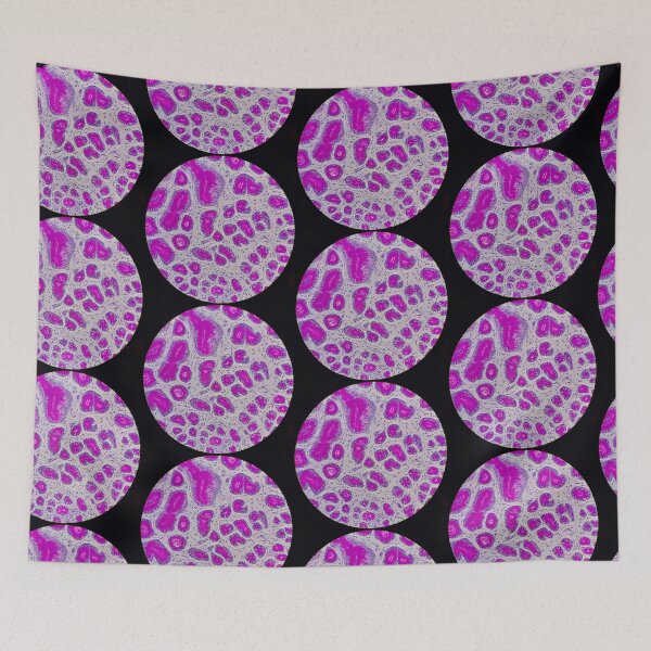 Item preview, Histology of small bowel,  100x, AB/PAS designed and sold by Psymier.