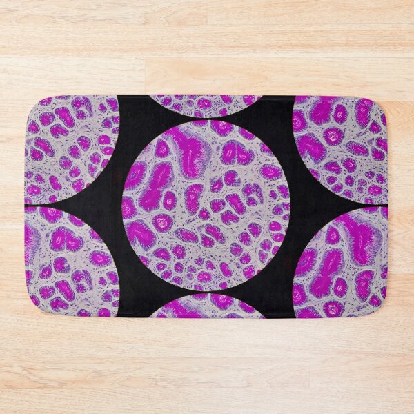 Item preview, Histology of small bowel,  100x, AB/PAS designed and sold by Psymier.