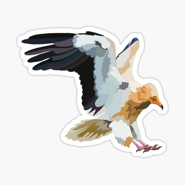 Aperçu de l'œuvre E est pour le vautour percnoptère créée et vendue par thezoogirl.