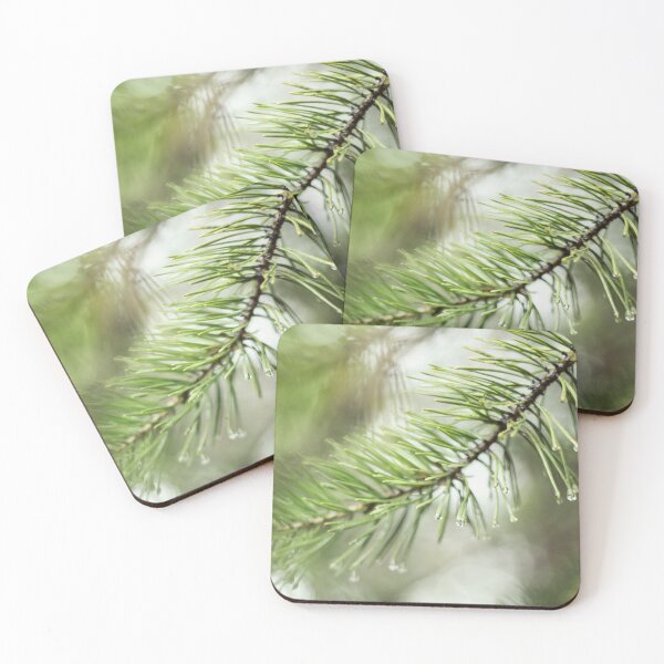 Item preview, wet pine branch after the rain designed and sold by LiubovAvdeeva.