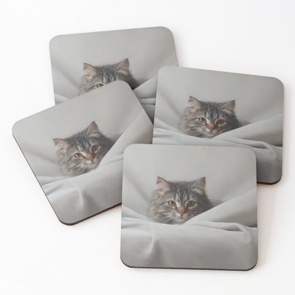 Item preview, Minimalist Fluffy Tabby Cat with Blanket designed and sold by Shannon Hilson.