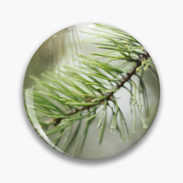 Item preview, wet pine branch after the rain designed and sold by LiubovAvdeeva.