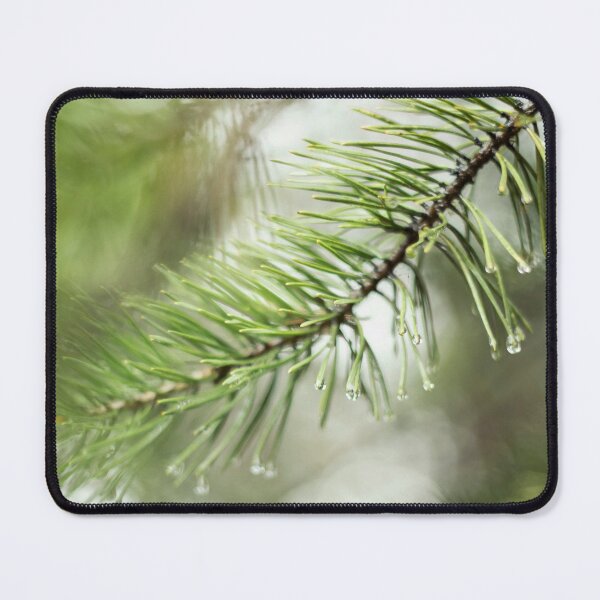 Item preview, wet pine branch after the rain designed and sold by LiubovAvdeeva.