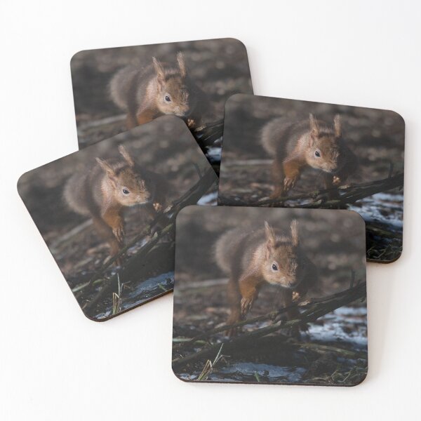 Item preview, Jumping Red Squirrel designed and sold by Derren Jones.