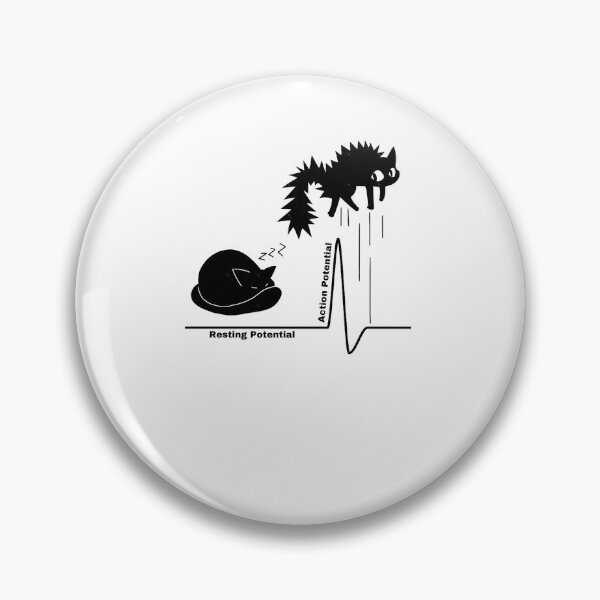 Item preview, Resting Potential to Action Potential designed and sold by sofialangleya.
