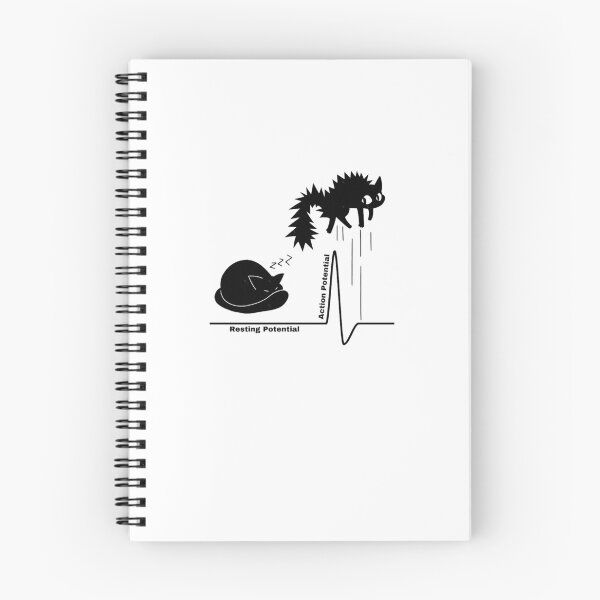 Item preview, Resting Potential to Action Potential  designed and sold by sofialangleya.