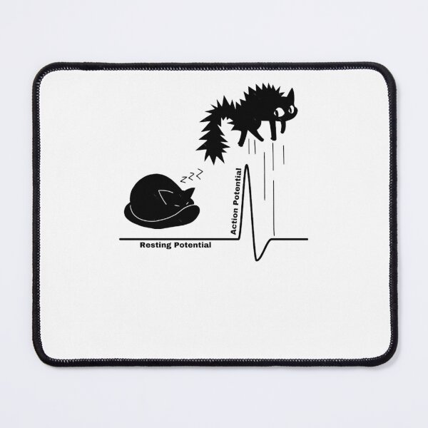 Item preview, Resting Potential to Action Potential designed and sold by sofialangleya.