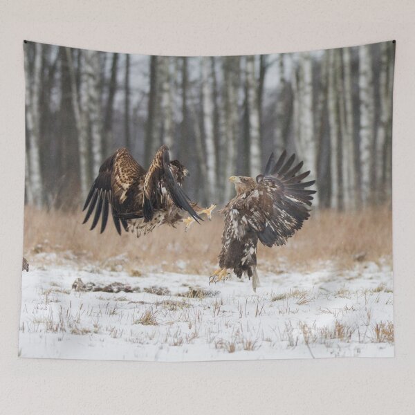 Item preview, White-Tailed Eagle fight designed and sold by Dominika Aniola.