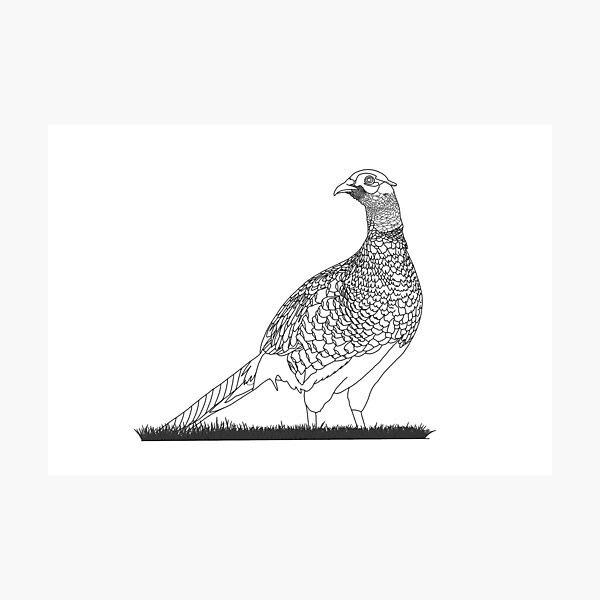 Item preview, Pheasant (Line Version)  designed and sold by Roaming  the Greenwood.