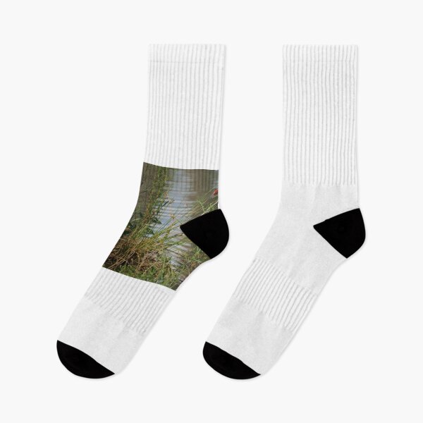Item preview, Proud Pukeko  designed and sold by D-GaP.
