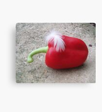 Feather pepper Canvas Print